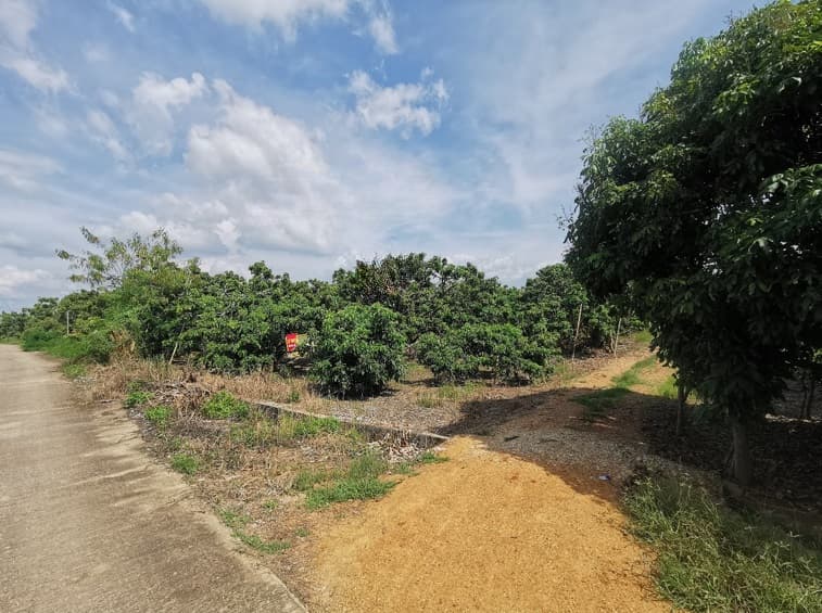 9cef197b-2 (1).jpg