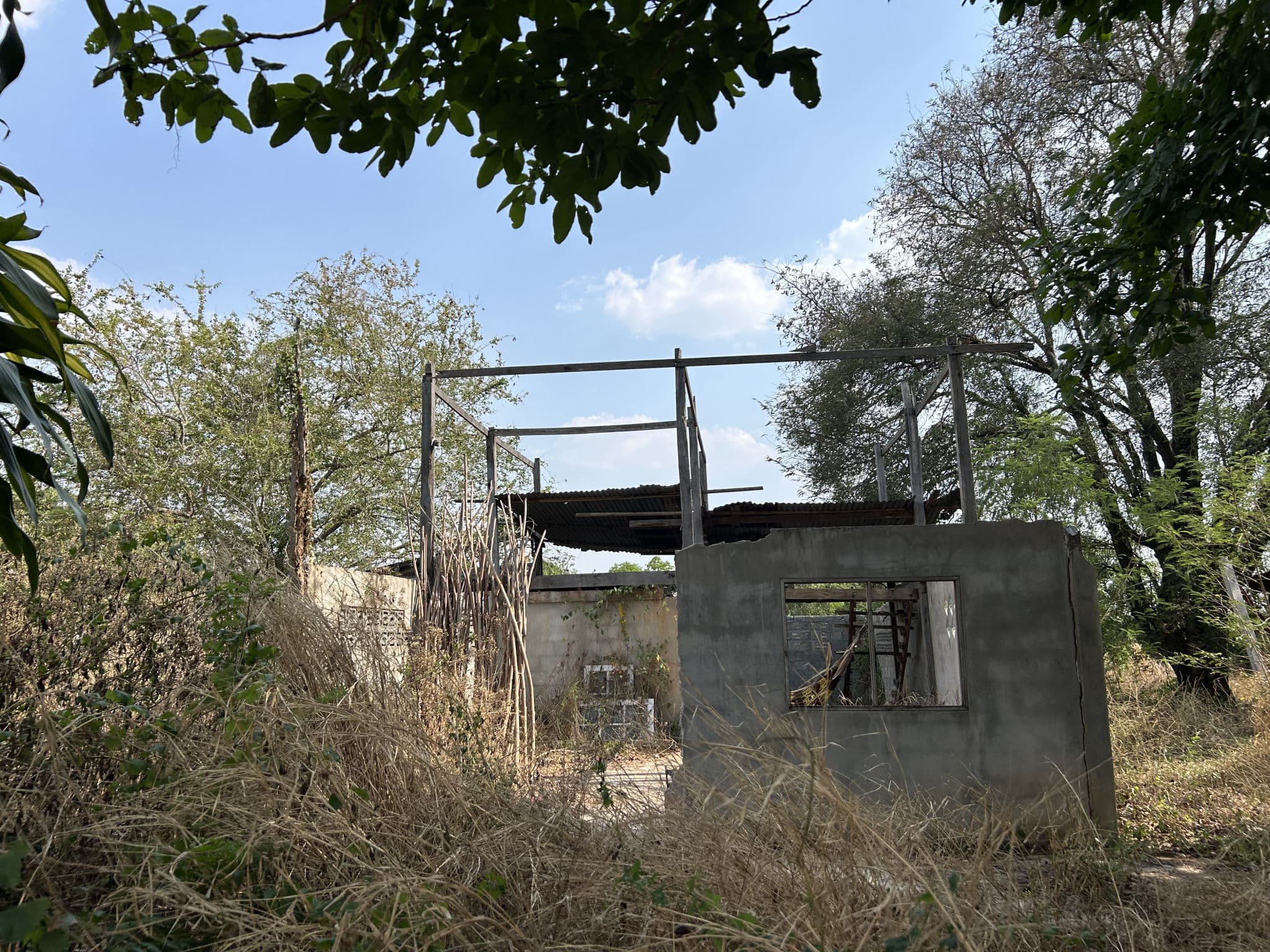 IMG_5886.JPG