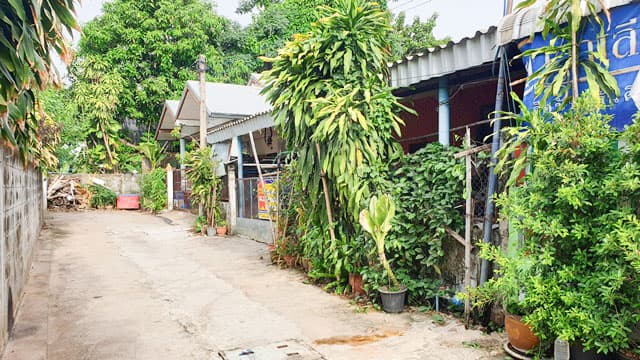 full_20190918101538.jpg