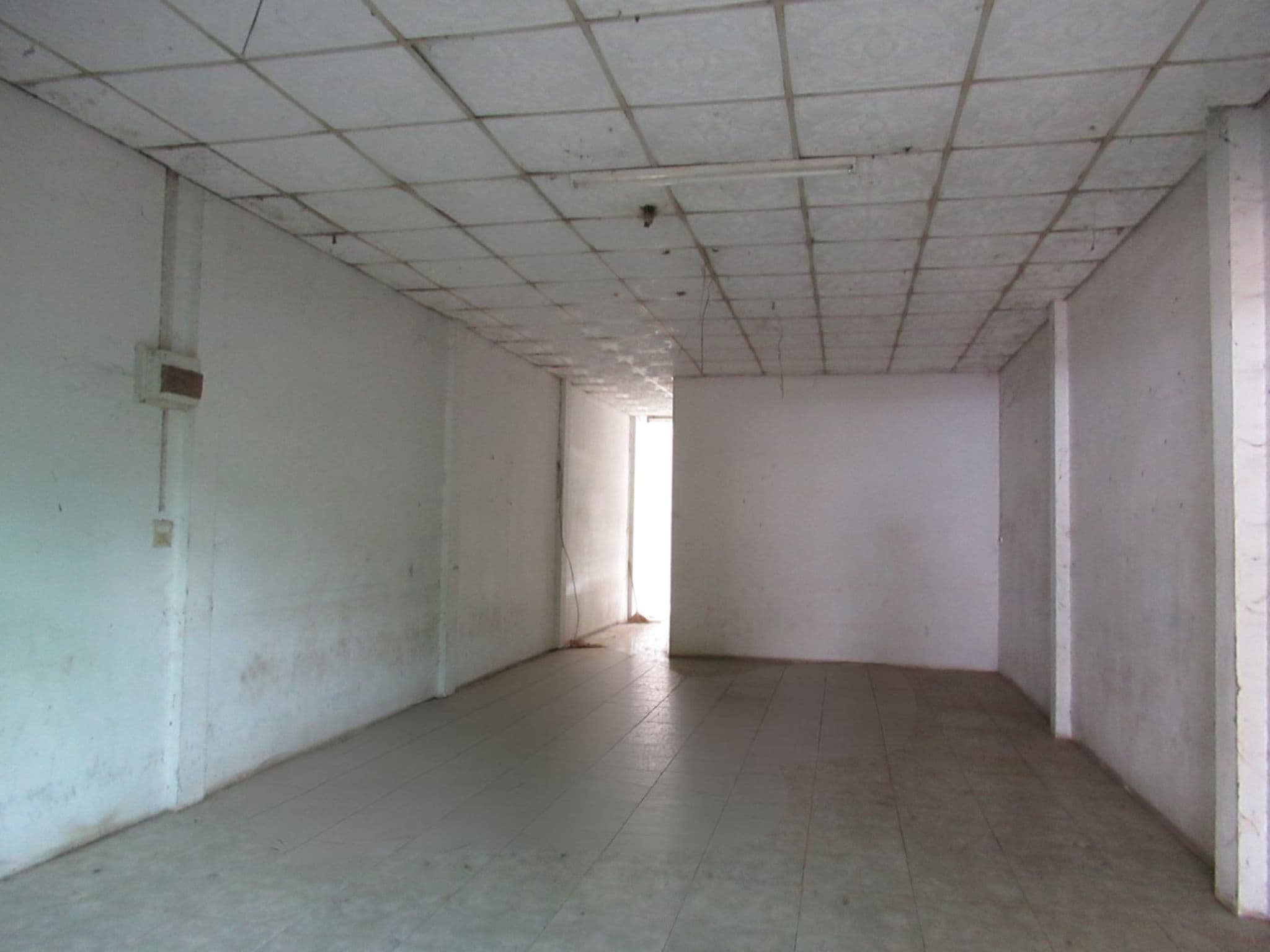 image (2).png
