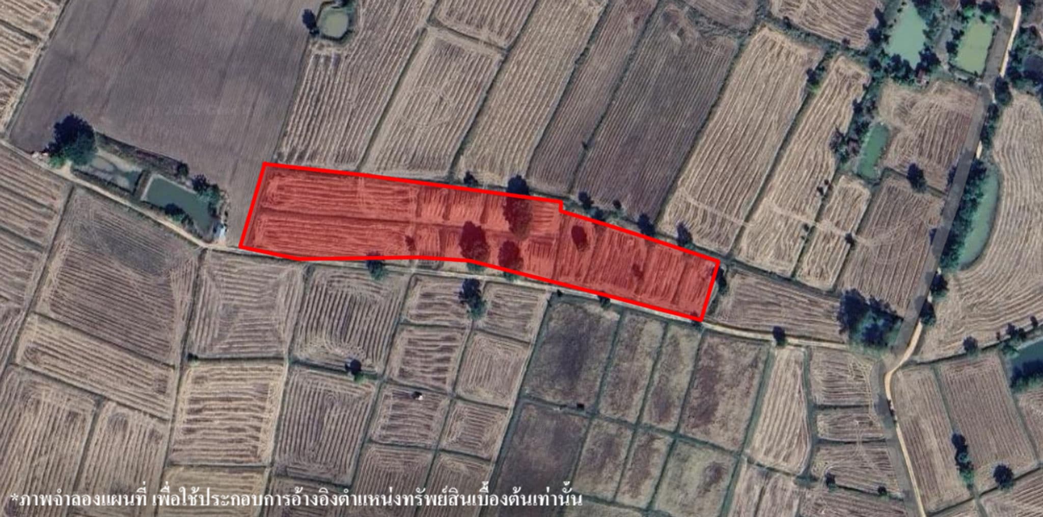 image (136).png