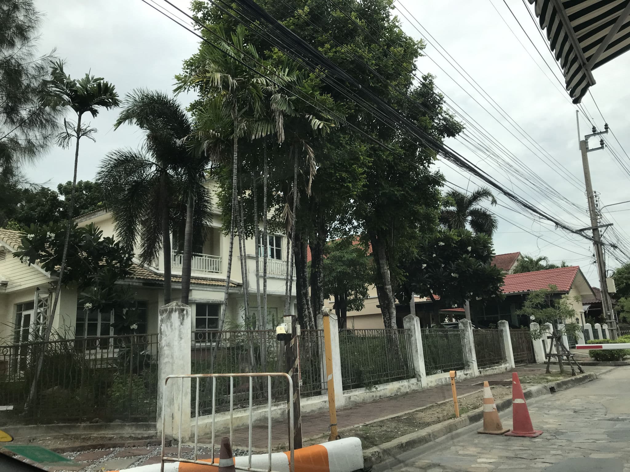 ชัยพฤกษ์ กค 67 (1).JPG