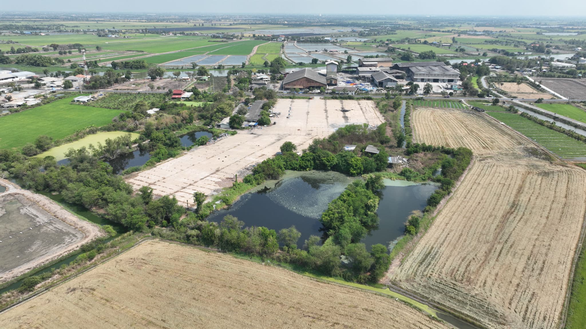 DJI_0667.JPG