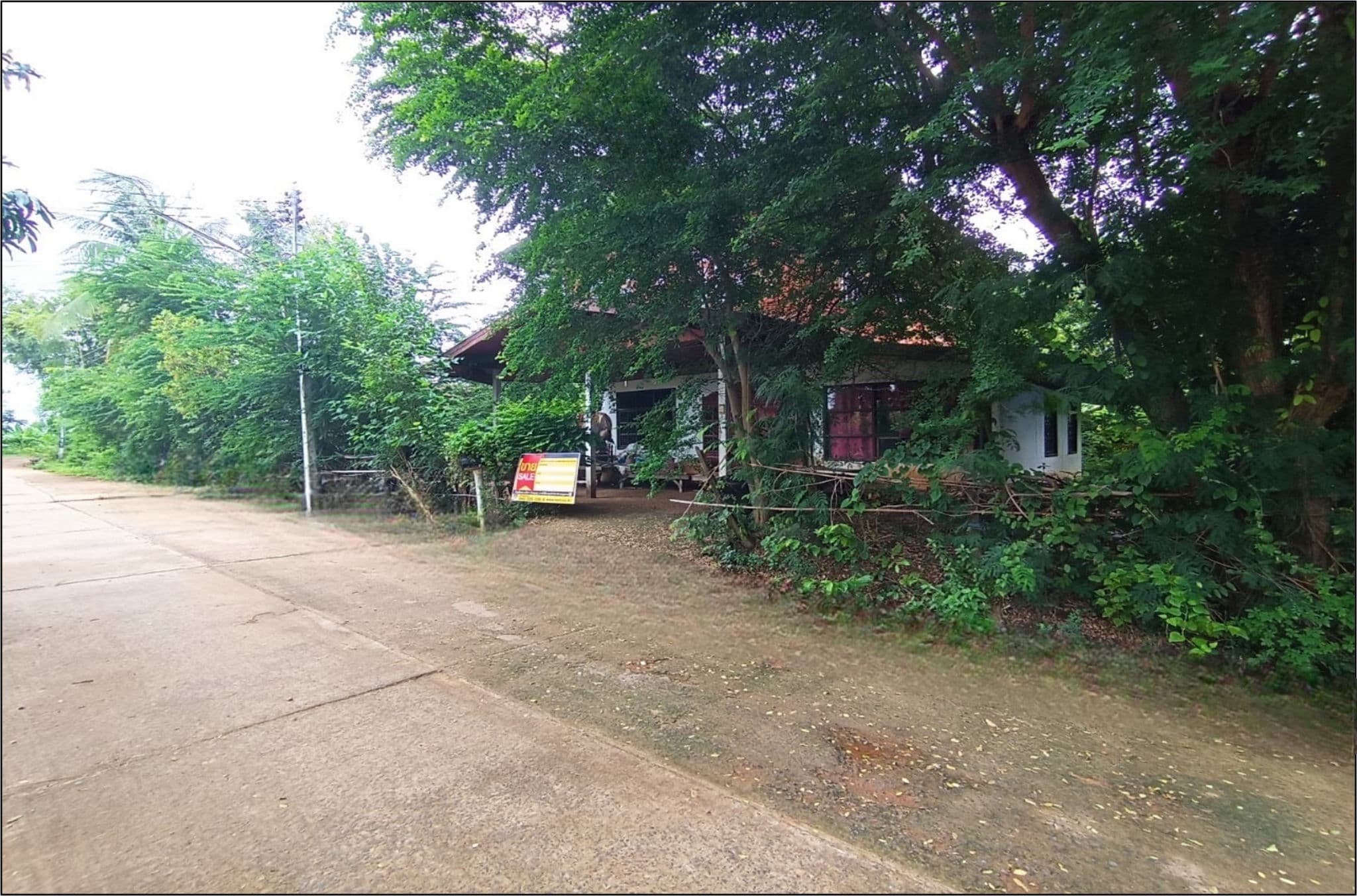 4bb6b326-2.jpg