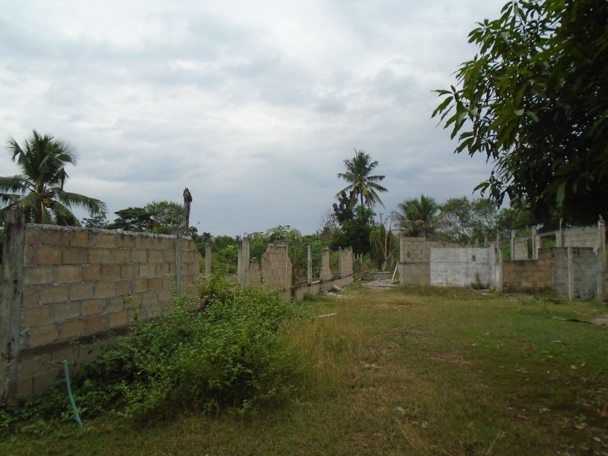DSC00051.JPG