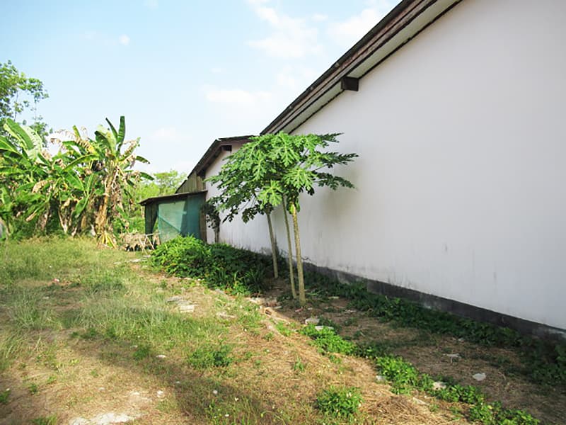 7ee33580-142279-5.jpg