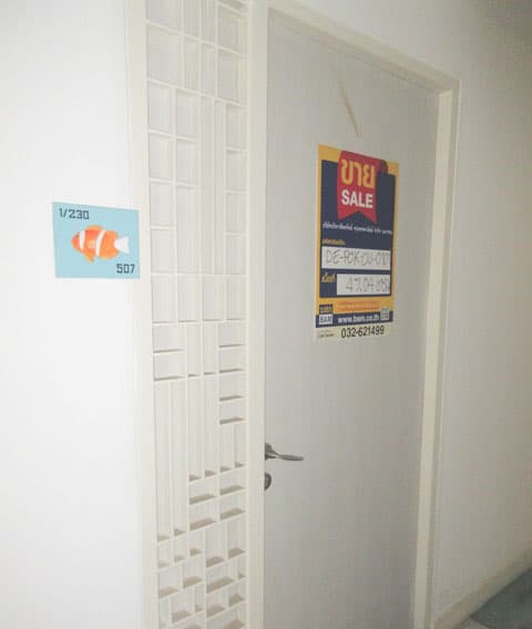 full_20200519165434.jpg