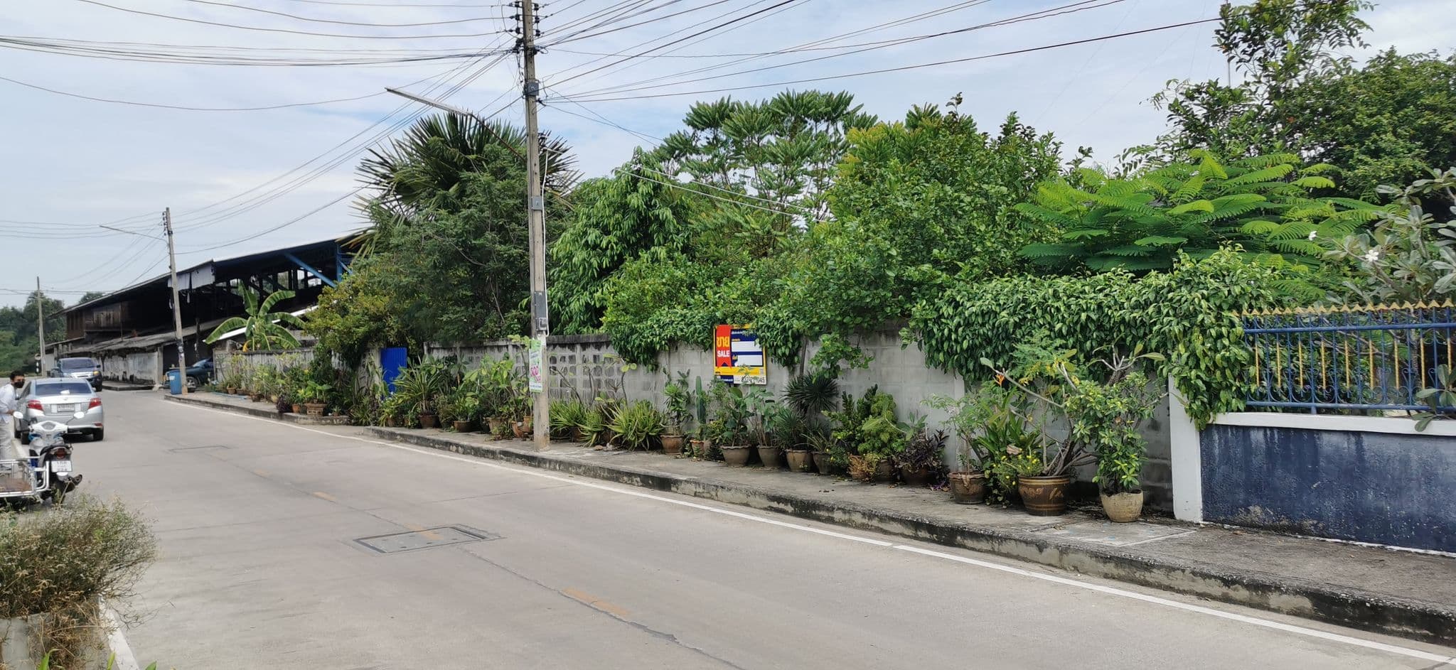 Picture1.jpg