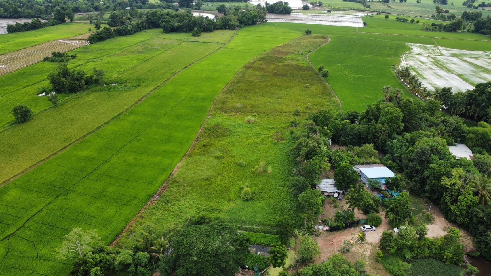 LINE_ALBUM_ที่ดินพันเสา_240614_9.jpg