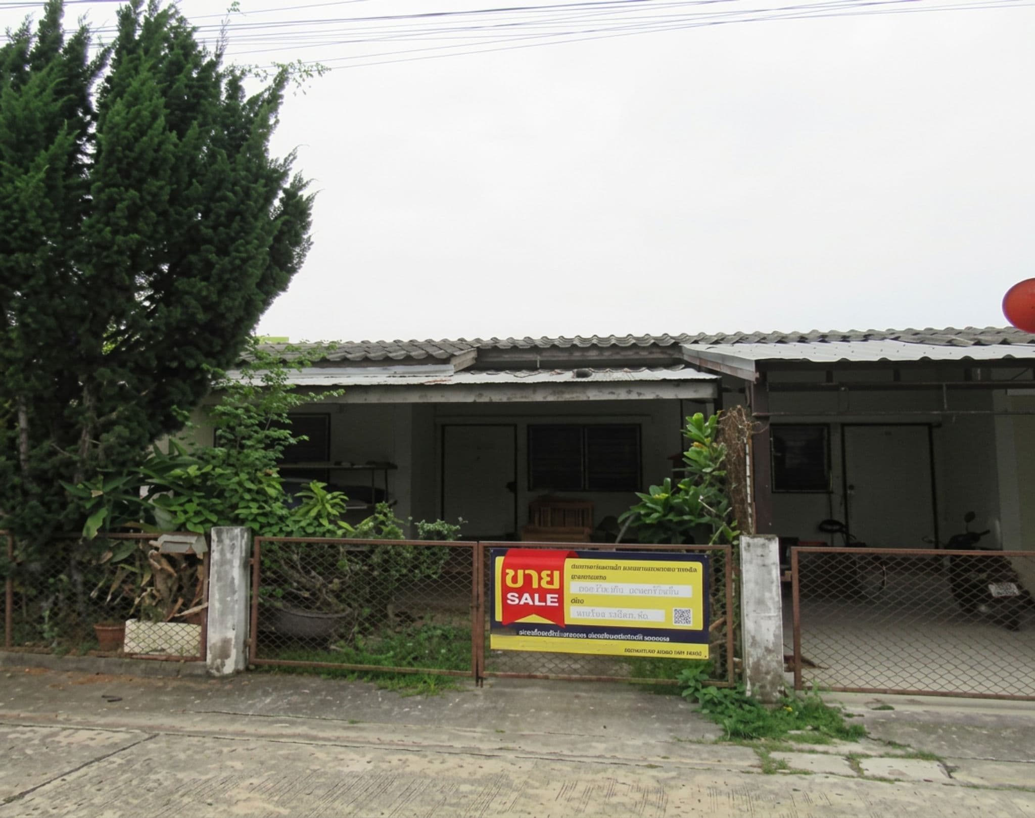 freepik_0001 (58).png