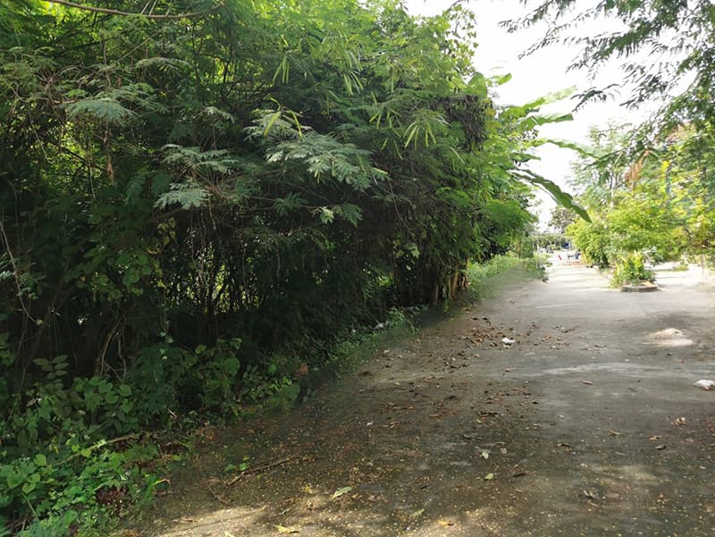 d88ee2fd-Picture2.jpg