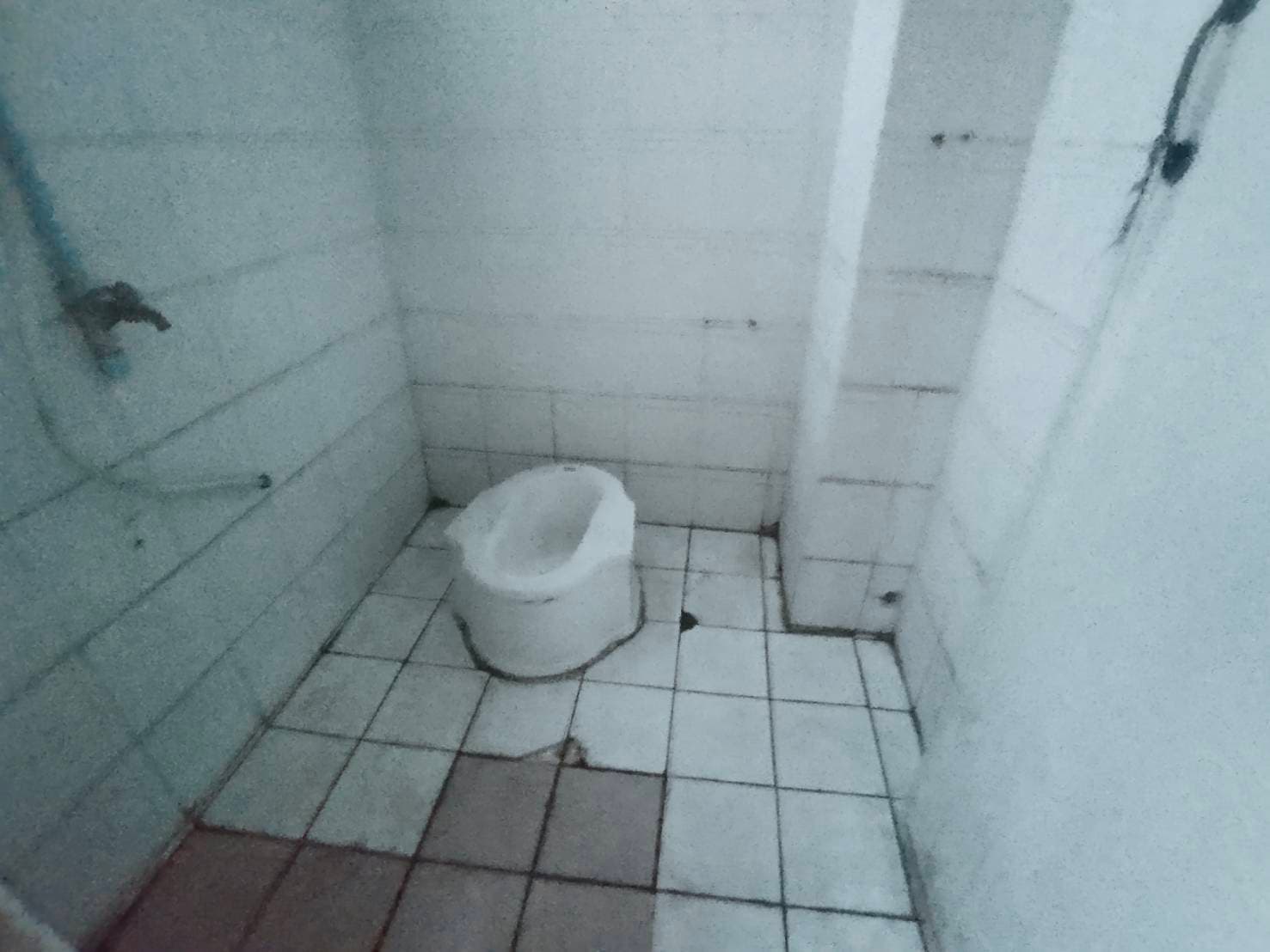 1732674005433.jpg