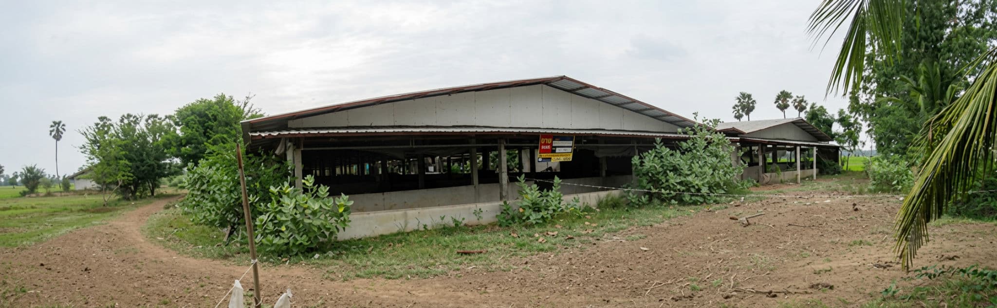 freepik_2739008319.png
