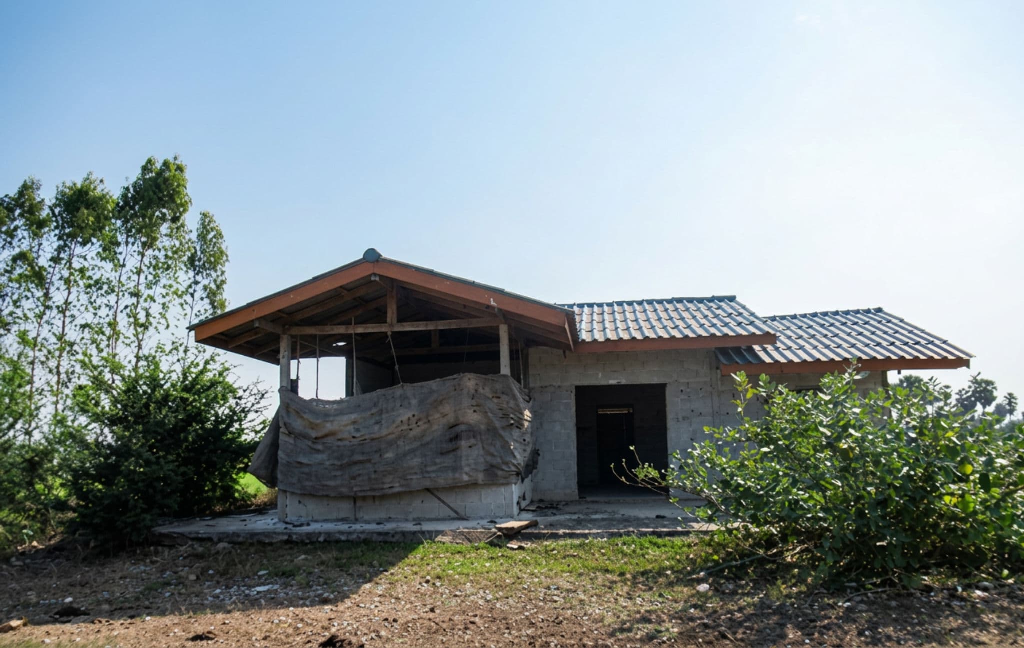 freepik_2739008983.png