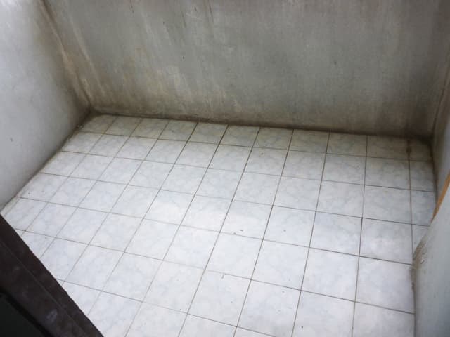 full_20190920095714.jpeg
