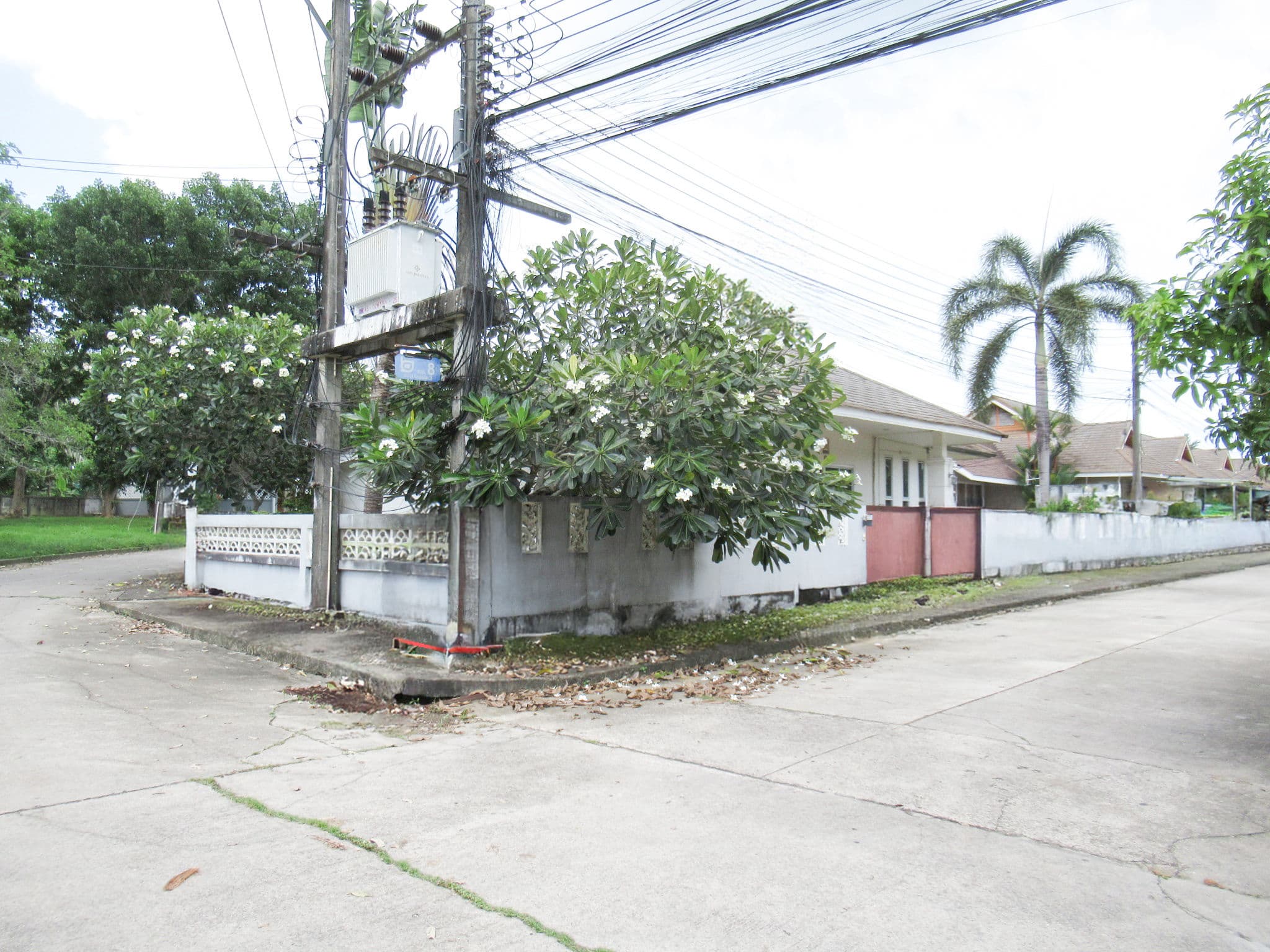 full_20200520100134.jpg