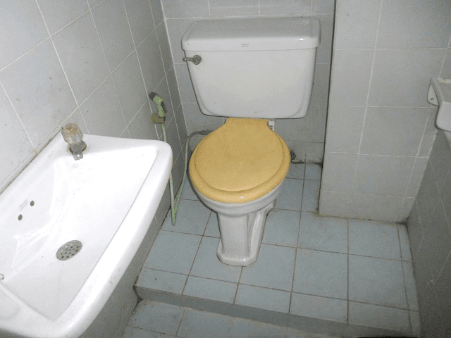 image (14).png
