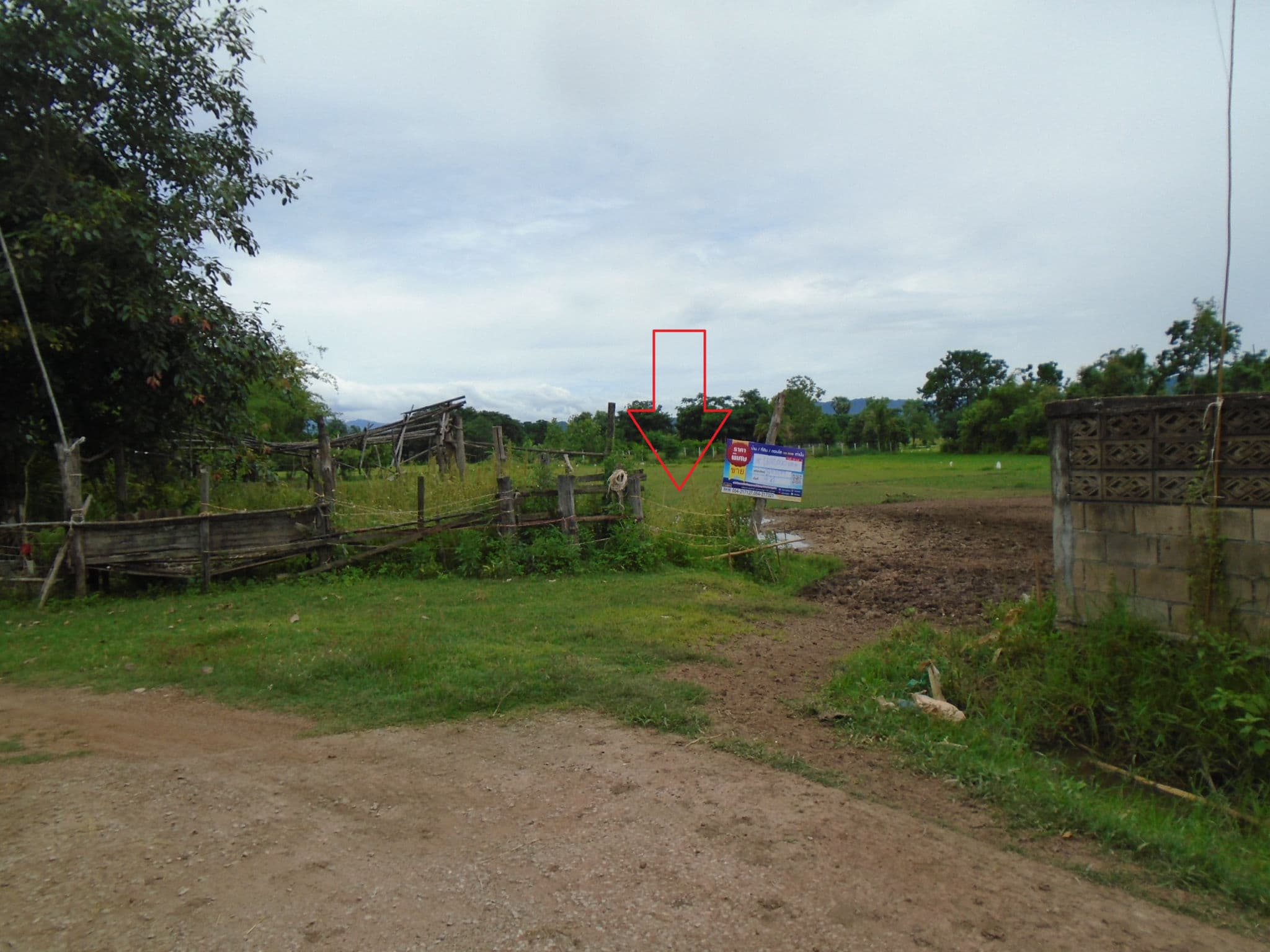 DSC01276.JPG