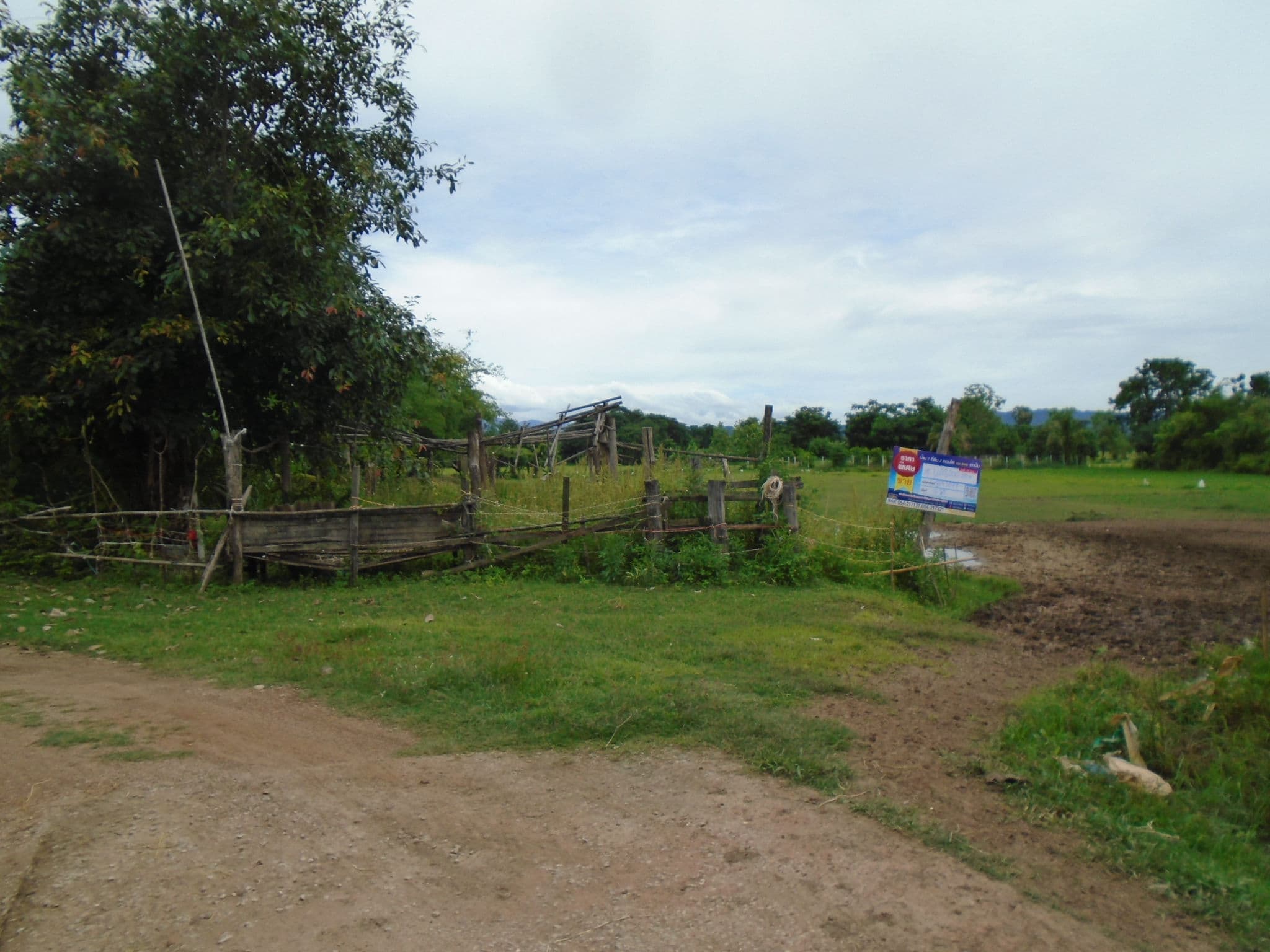 DSC01279.JPG