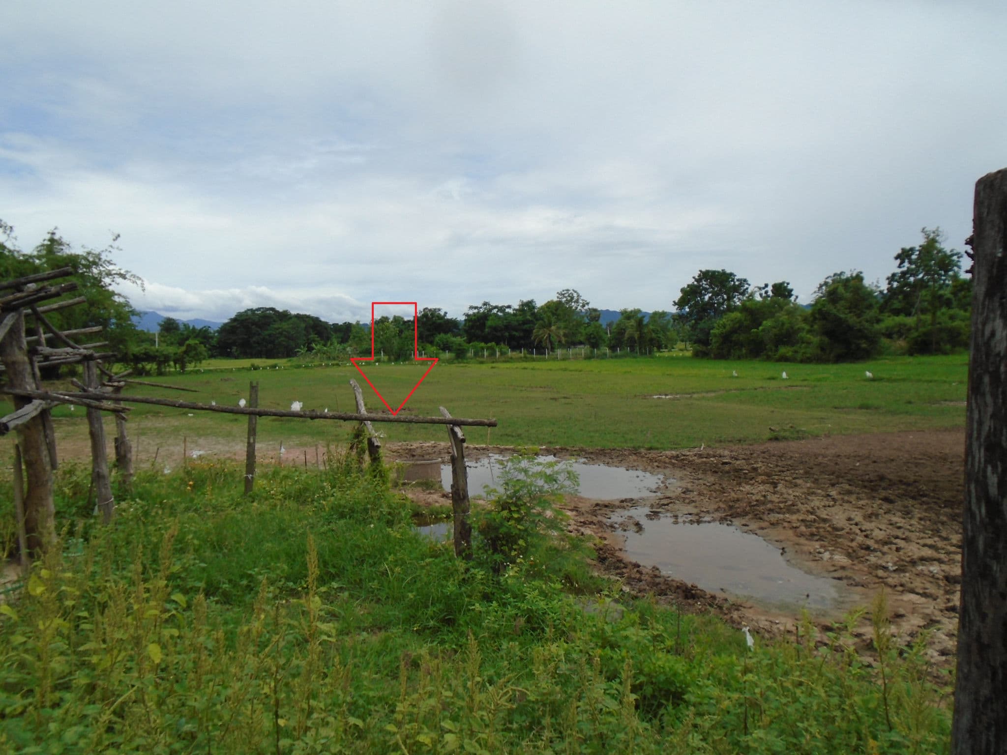 DSC01280.JPG