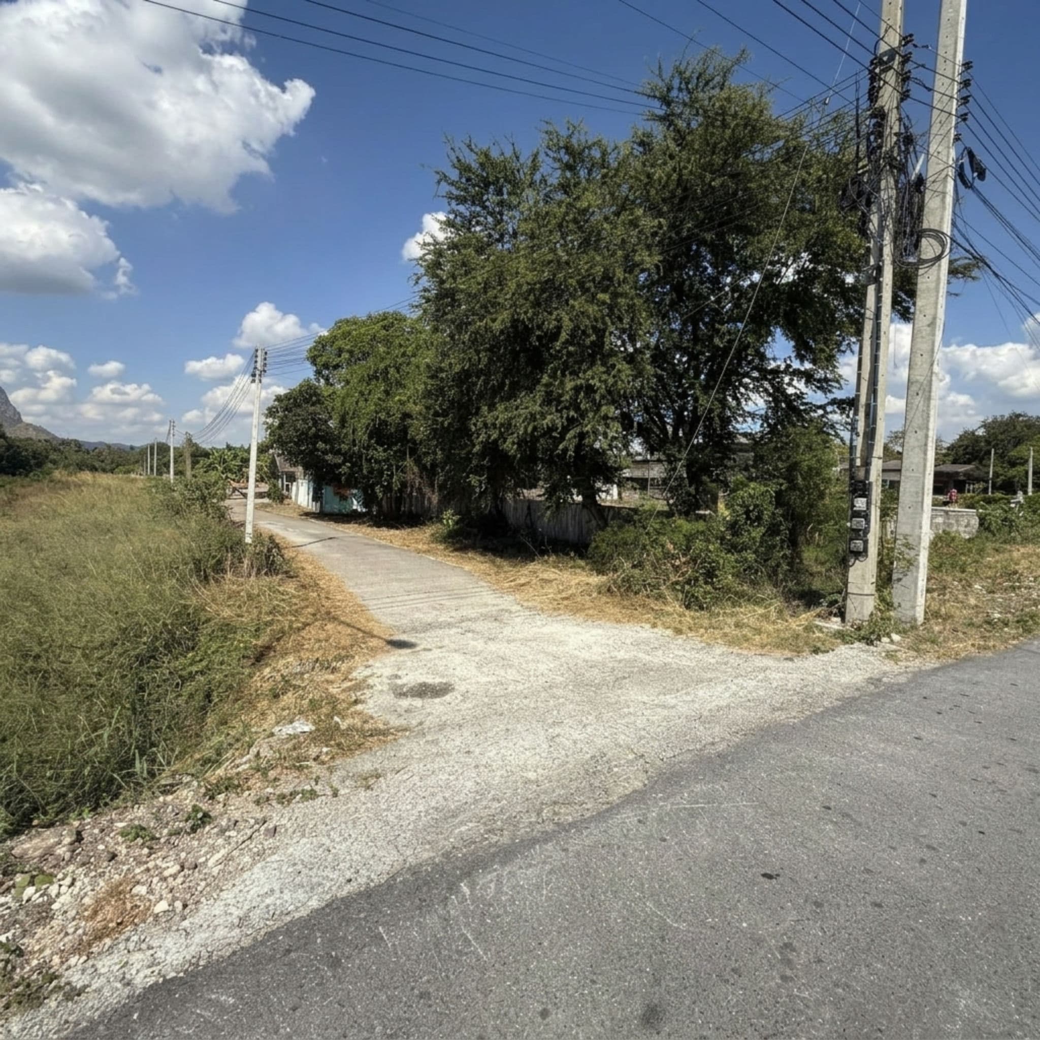 freepik_2880267531.png