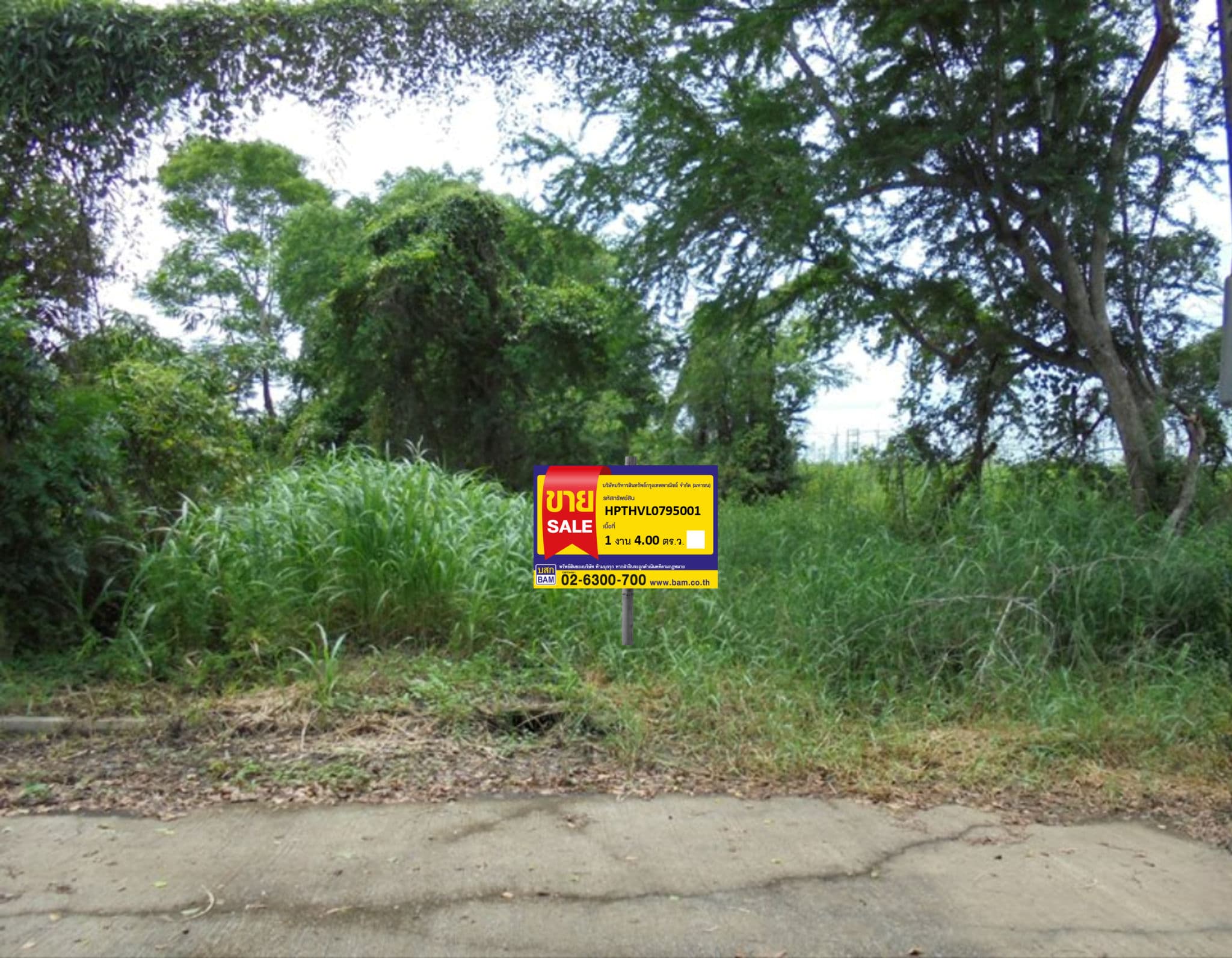 y4852.png