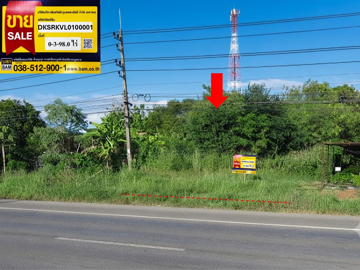 à¸à¹à¸²à¸¢.jpg