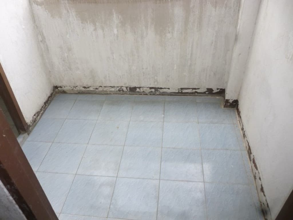 S__55820333.jpg
