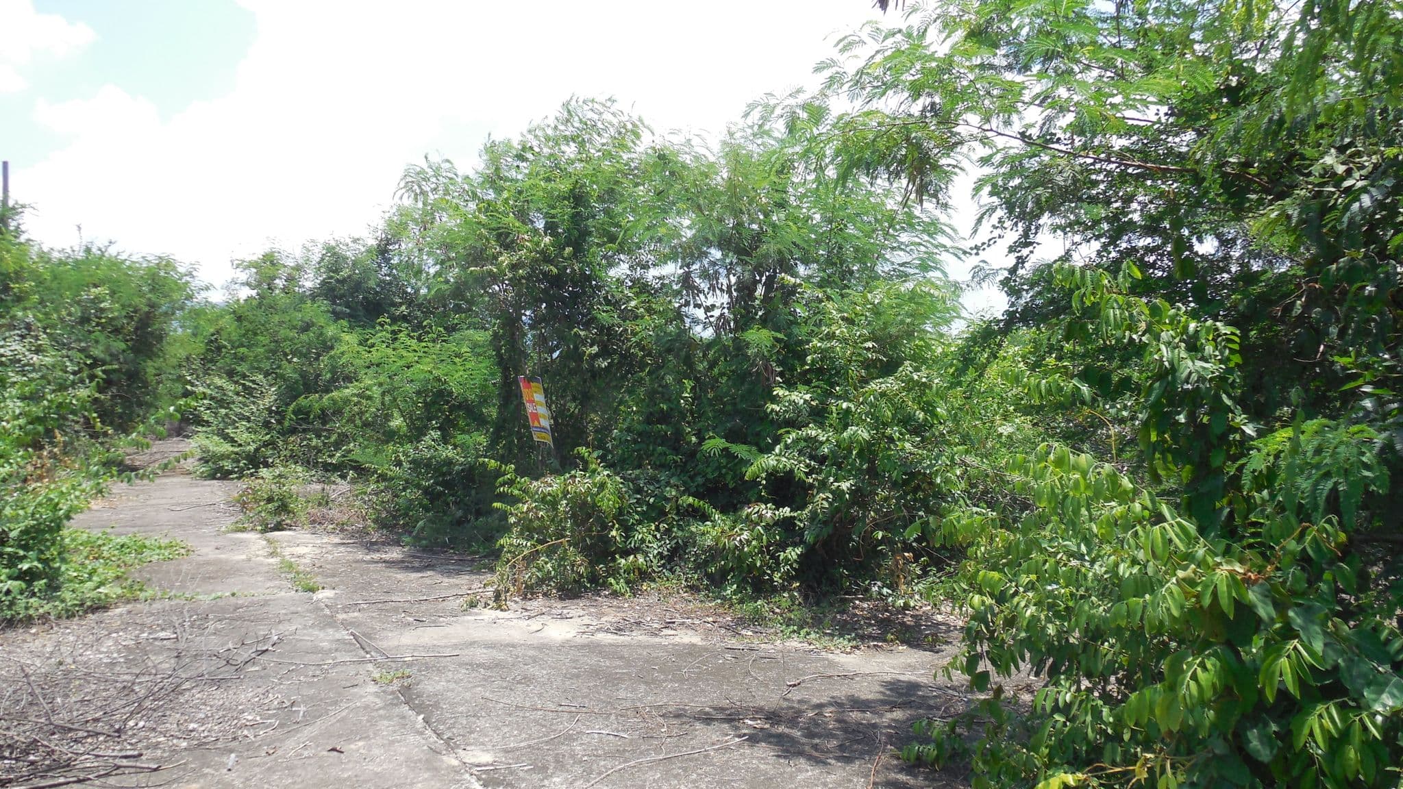 DSCN5724.JPG