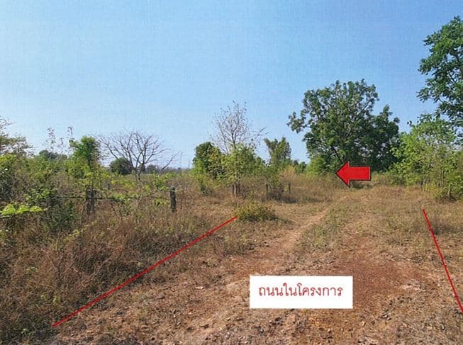 นพ.1.JPG