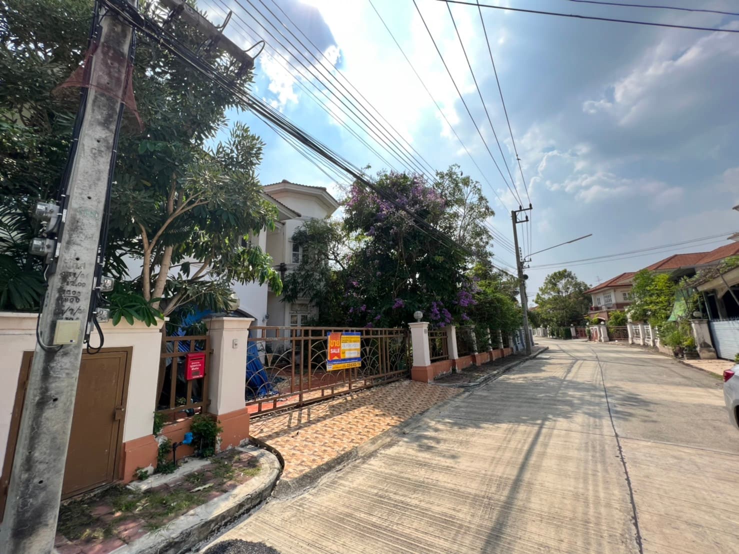 S__562888744.jpg