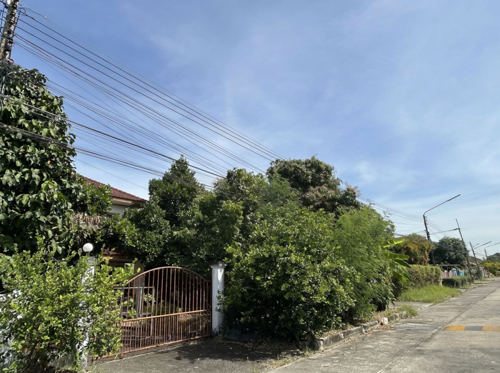 freepik__text-to-image__88194.png