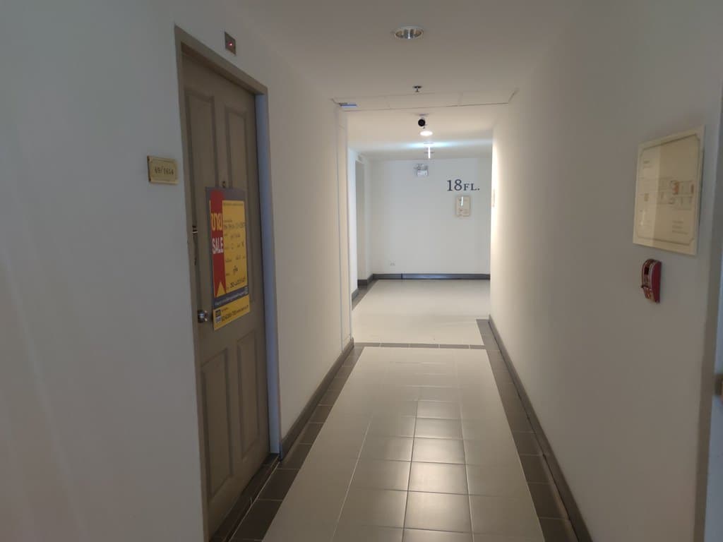 1733299472356.jpg