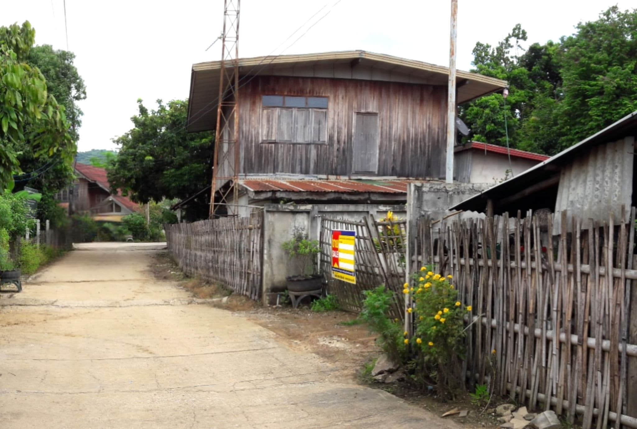 Canva Bamm (63).png
