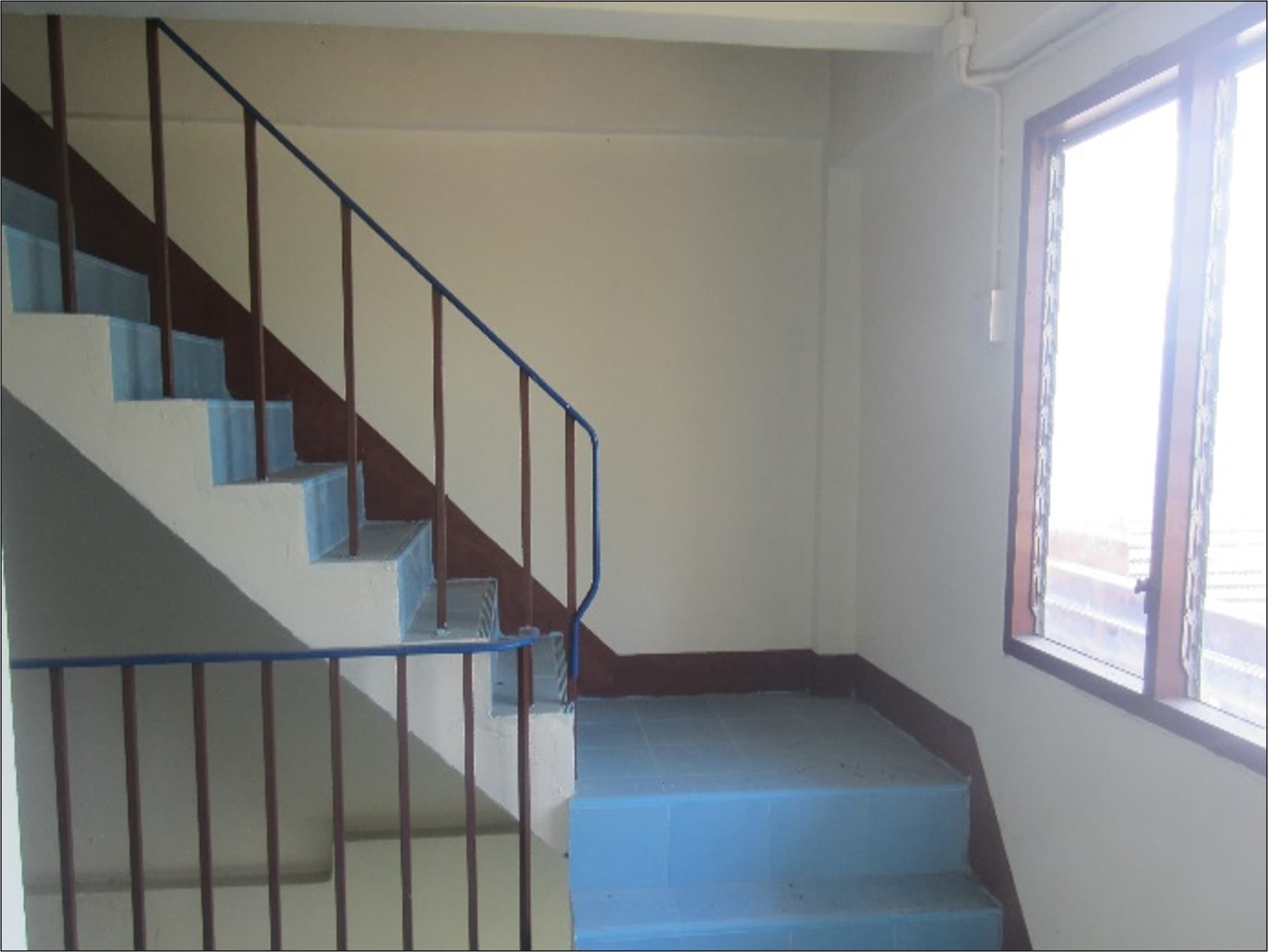 Picture3.jpg