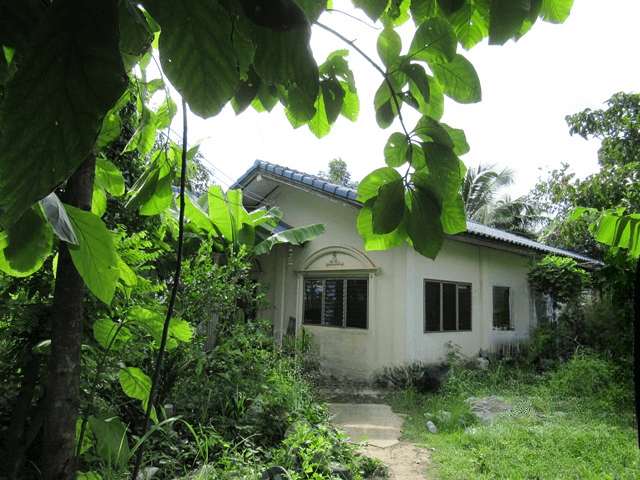 image (15).png
