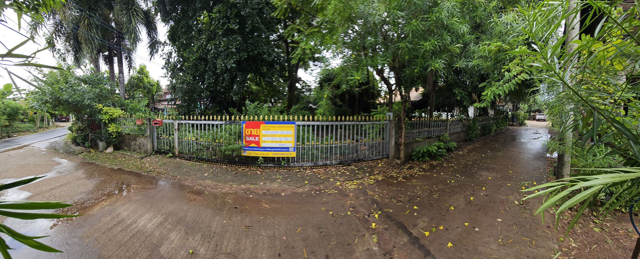 20250904_150355.jpg