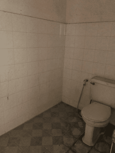 image (72).png