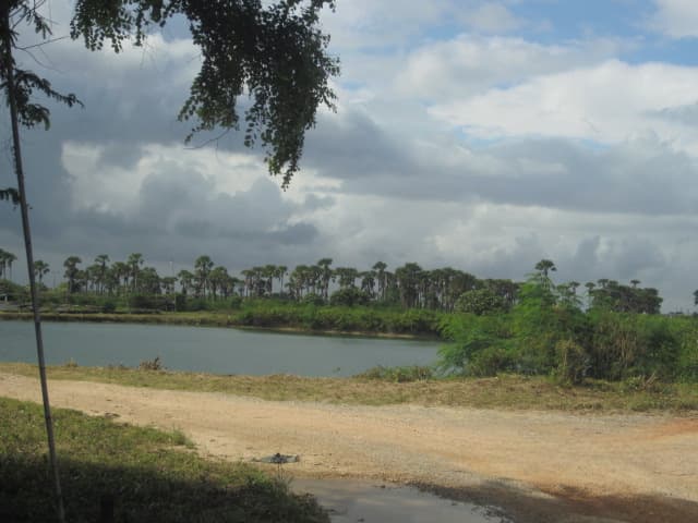 243c09de-IMG_0435.jpg