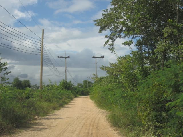 11518640-IMG_0429.jpg