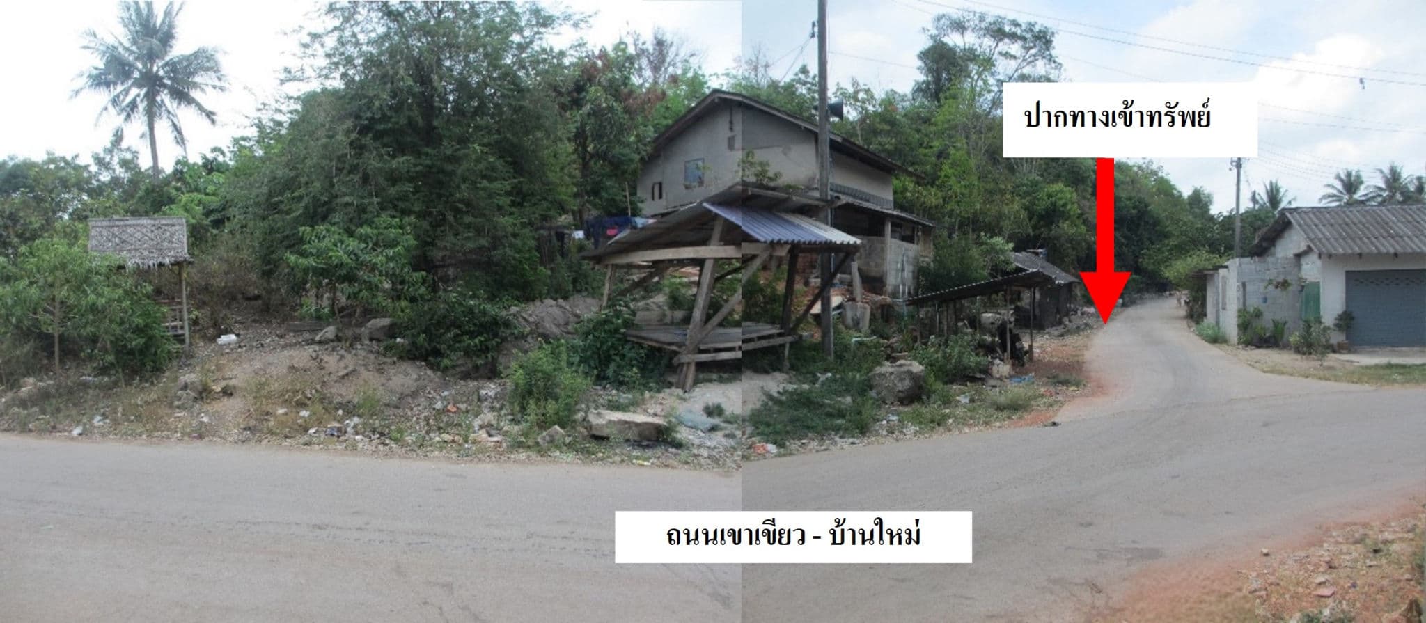 5cc0c658-รูปภาพ6.jpg