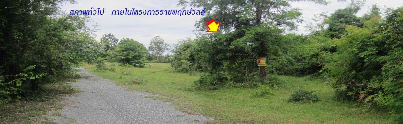 9ec017e1-56333-3.jpg