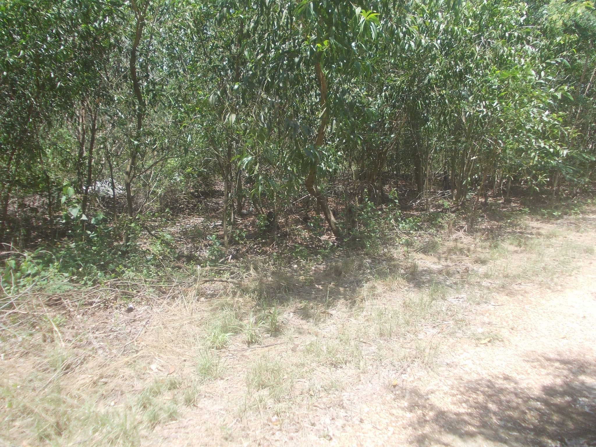 DSCN1841.JPG