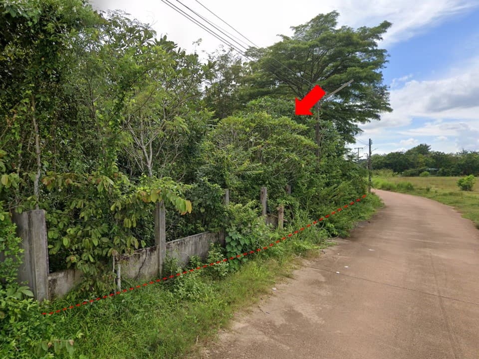 Slide1.JPG