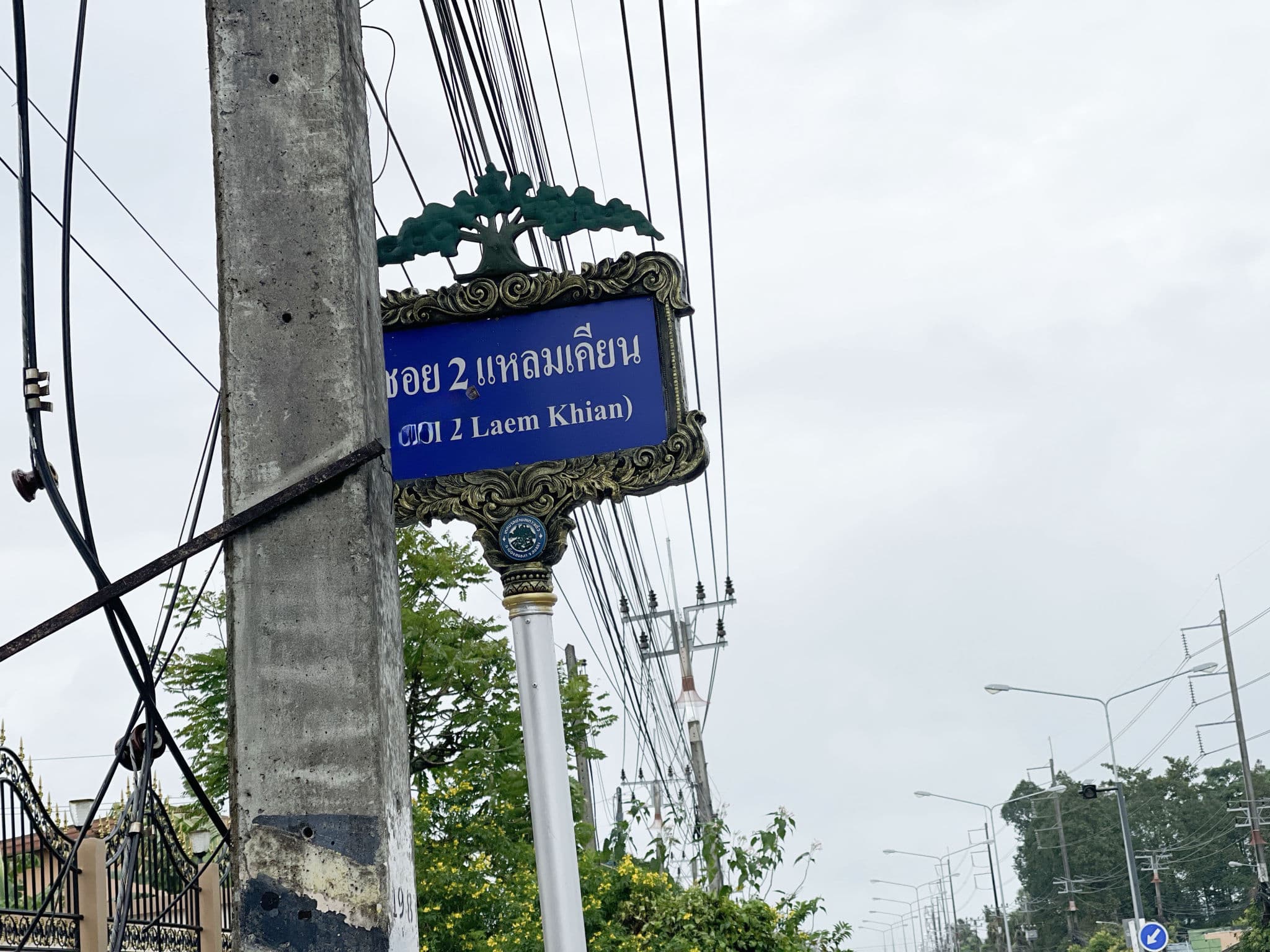 915307c2-62482-1.jpg