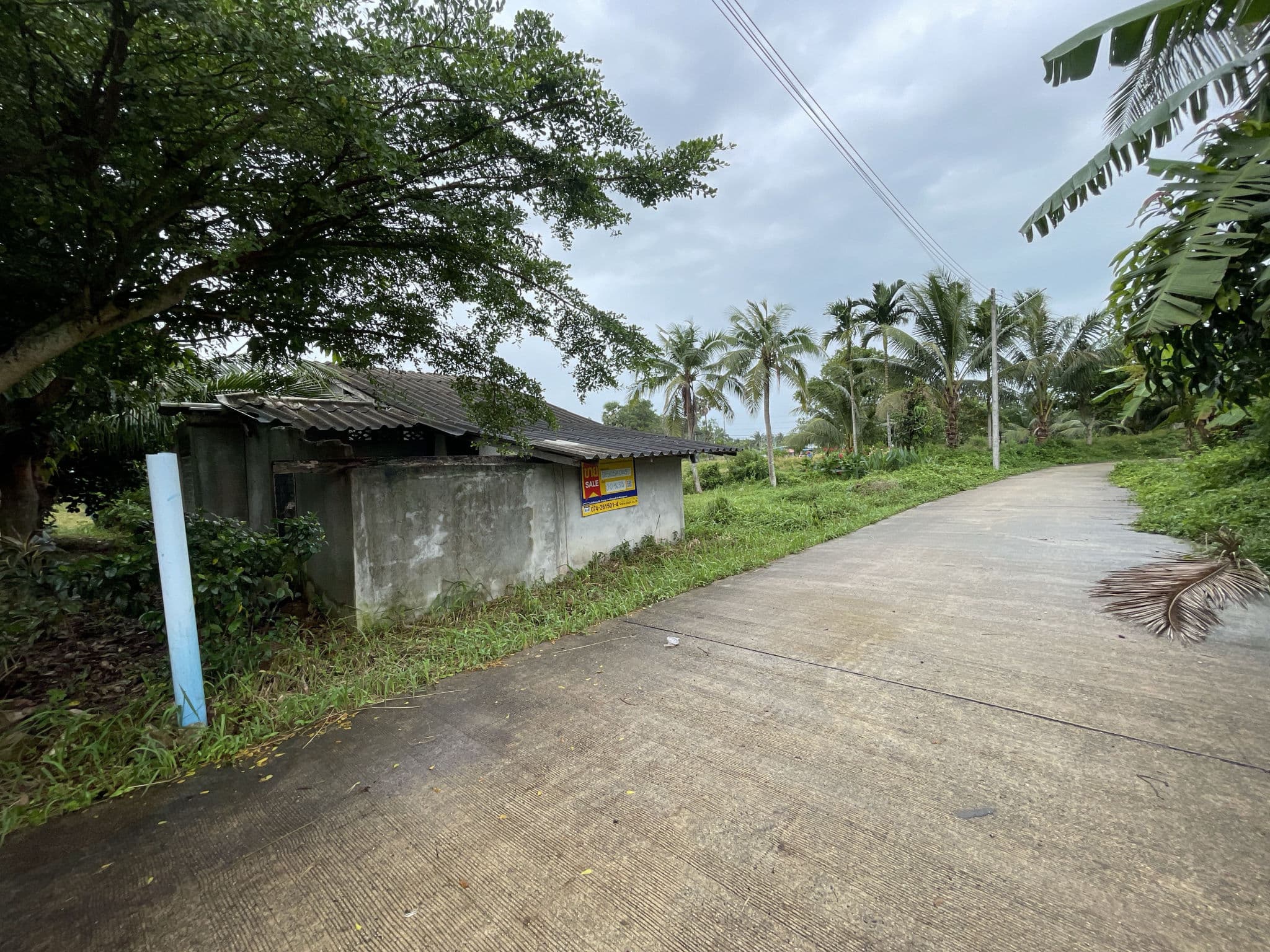 bd5396f3-62482-0.jpg