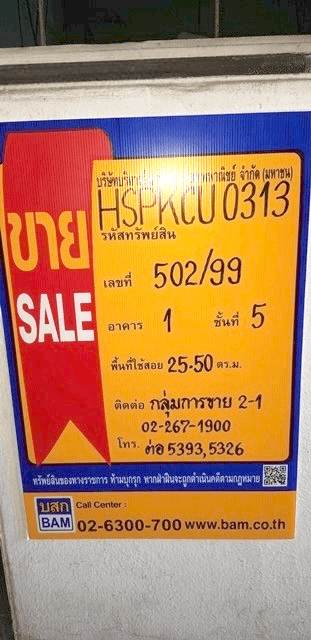 image (12).png