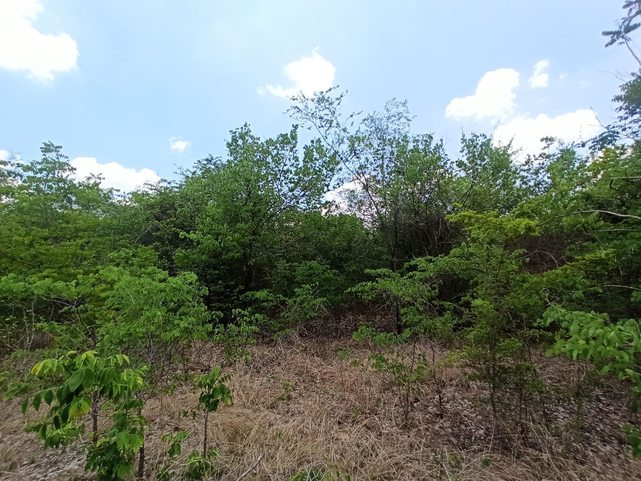 IMG_20240510_122254.jpg