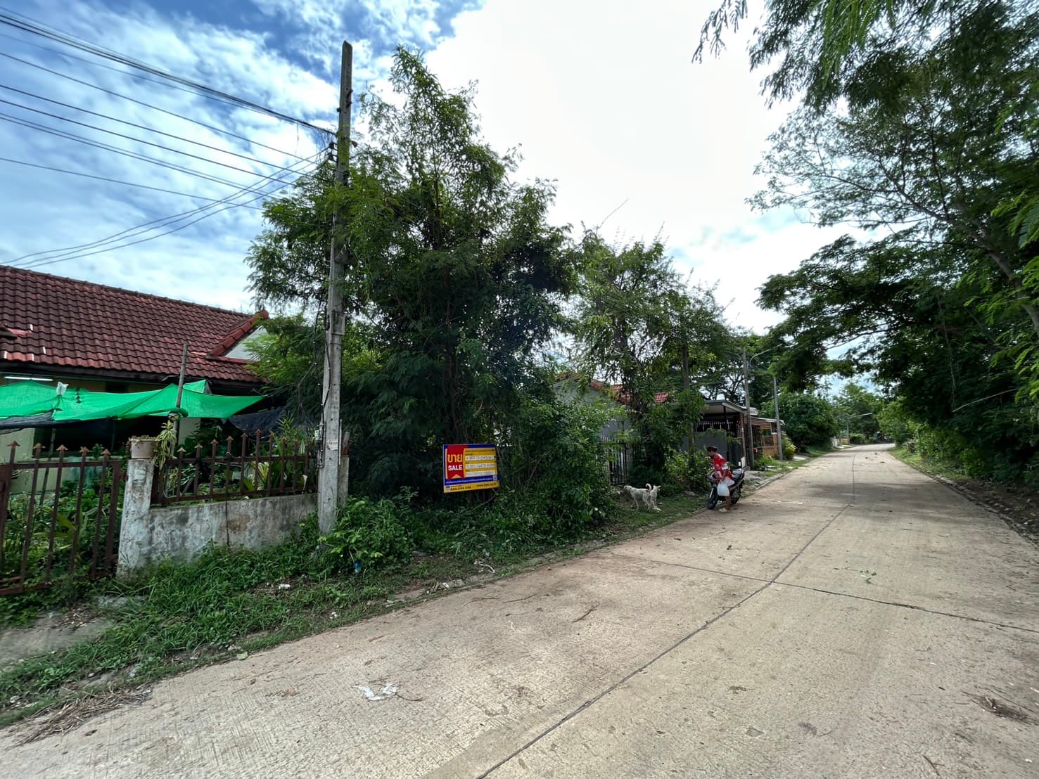 S__81903744_0.jpg