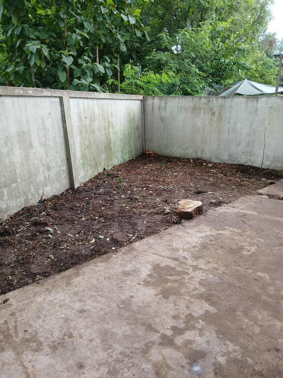 Image - 2024-09-13T142431.271.jfif